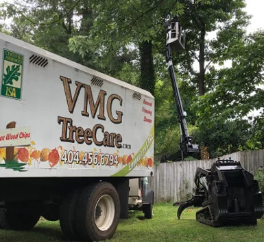 Tree removal in Alpharetta neighborhood