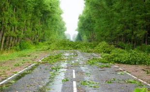 Limbs and debris on road after storm